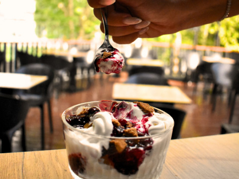 Yogurt Forest sladoled
